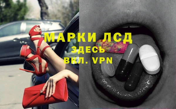 индика Болотное