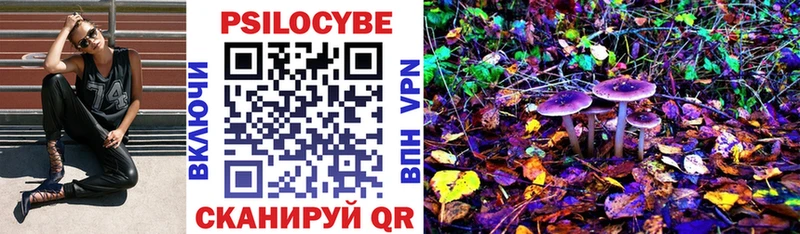 Псилоцибиновые грибы Psilocybe  kraken ссылки  Краснослободск 